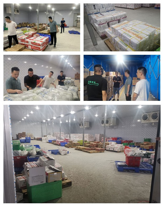 首页-PA集团有限公司官网入口