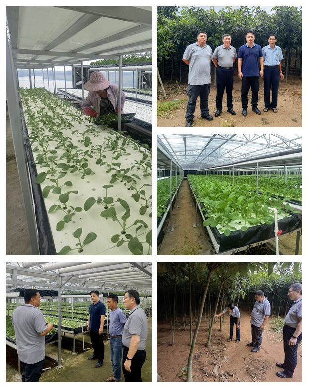 首页-PA集团有限公司官网入口