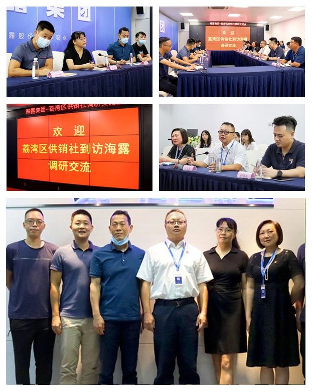 首页-PA集团有限公司官网入口