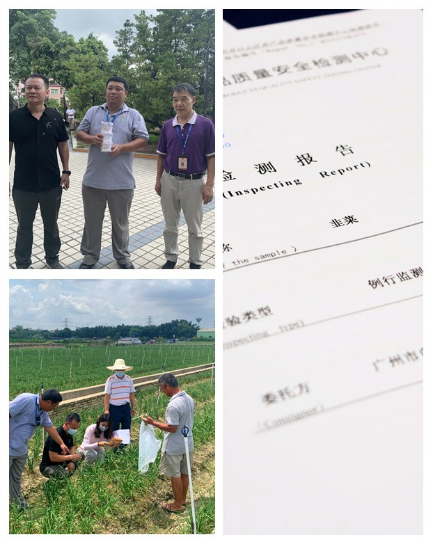 首页-PA集团有限公司官网入口