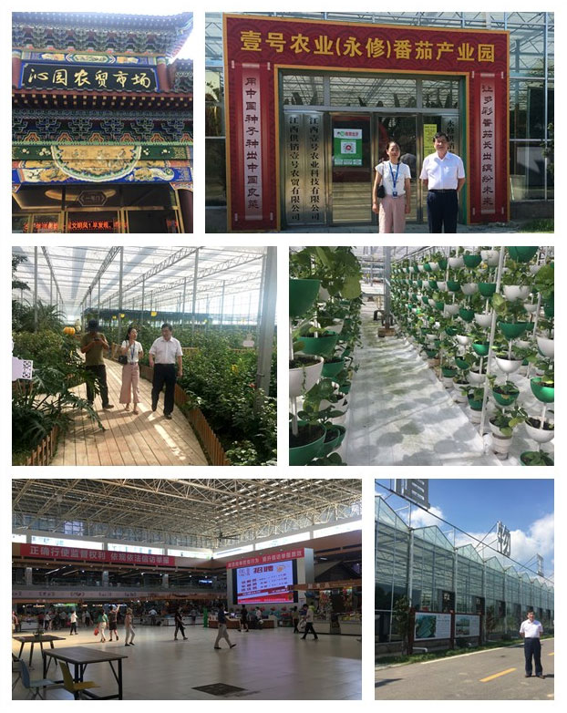 首页-PA集团有限公司官网入口