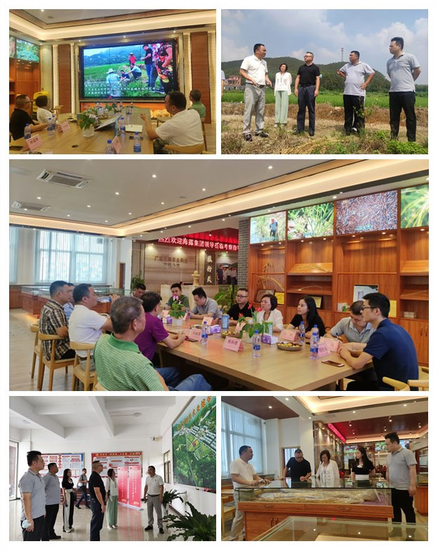 首页-PA集团有限公司官网入口