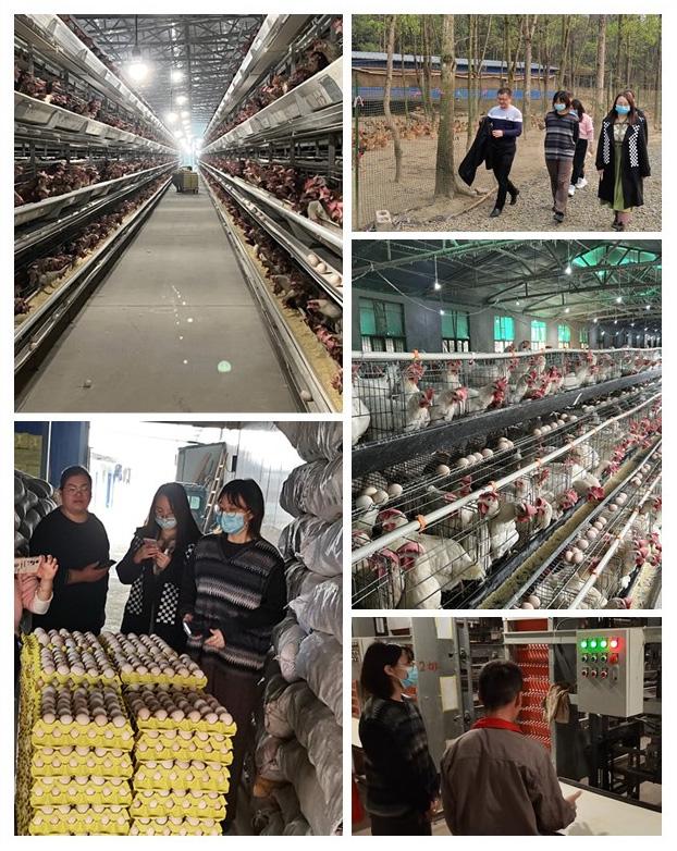 首页-PA集团有限公司官网入口