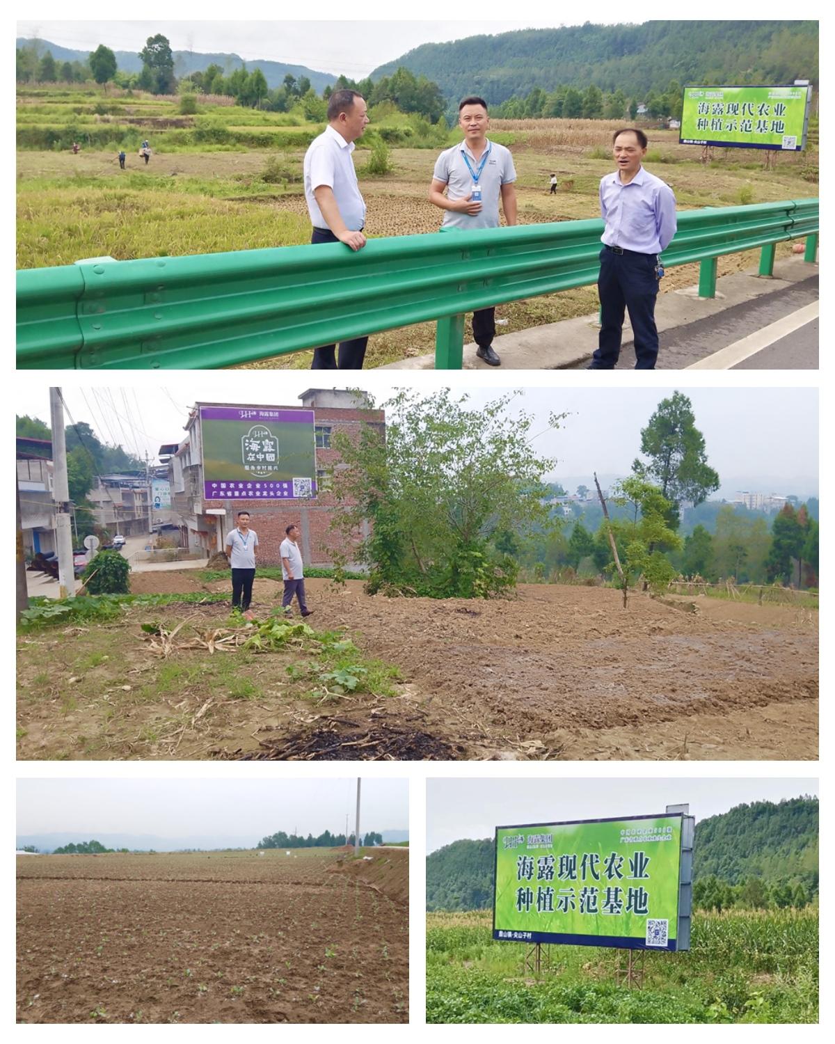 首页-PA集团有限公司官网入口