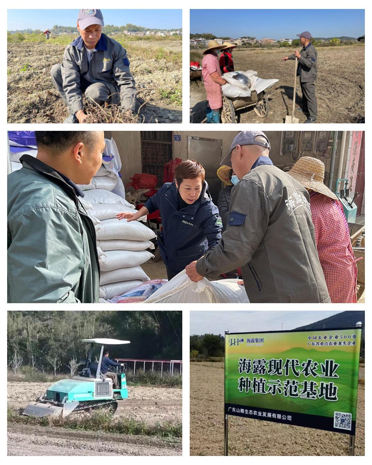 首页-PA集团有限公司官网入口