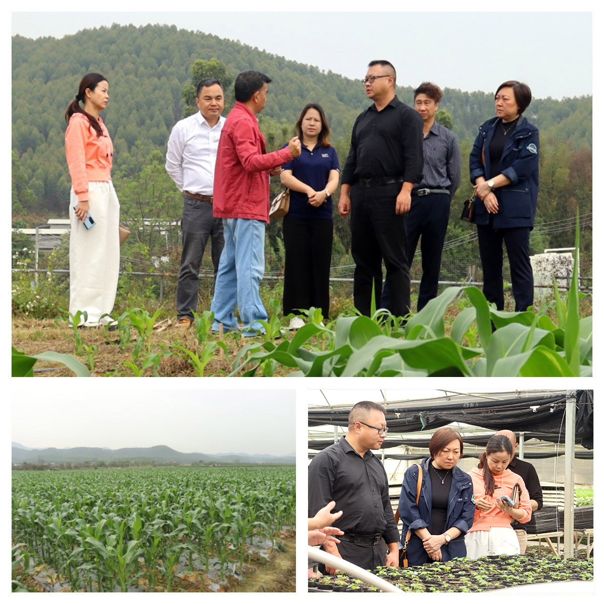 首页-PA集团有限公司官网入口