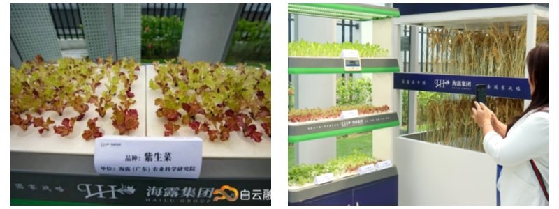 首页-PA集团有限公司官网入口