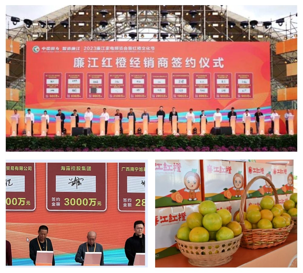 首页-PA集团有限公司官网入口