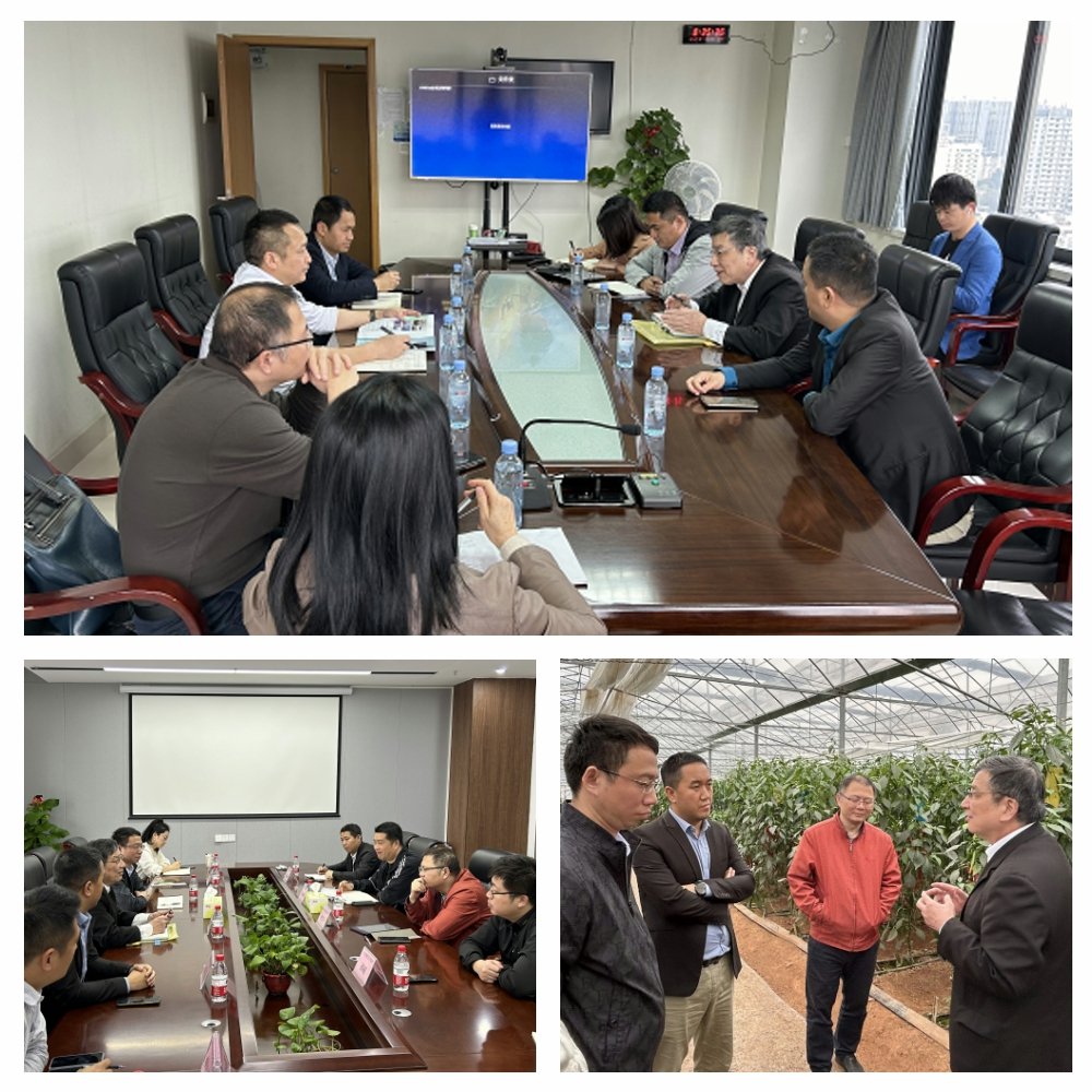 首页-PA集团有限公司官网入口