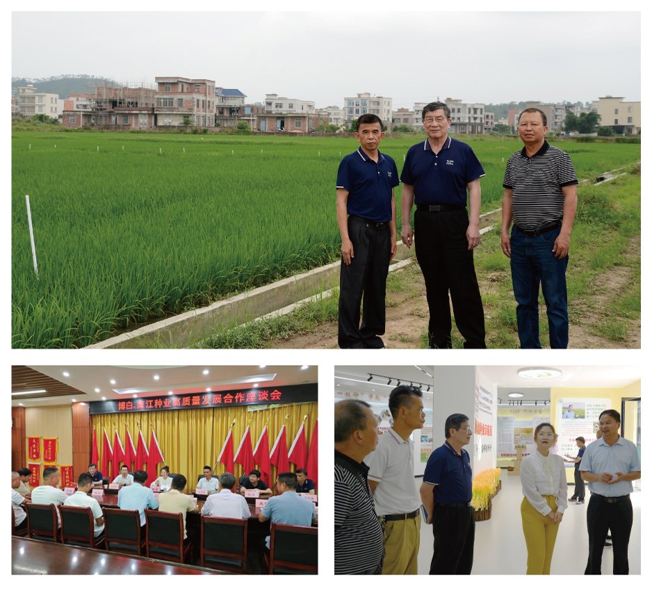 首页-PA集团有限公司官网入口