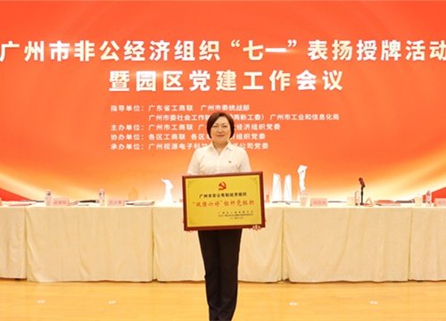 标杆引领，荣誉升级！集团党支部荣膺广州市非公有造经济组织“双强六好”标
