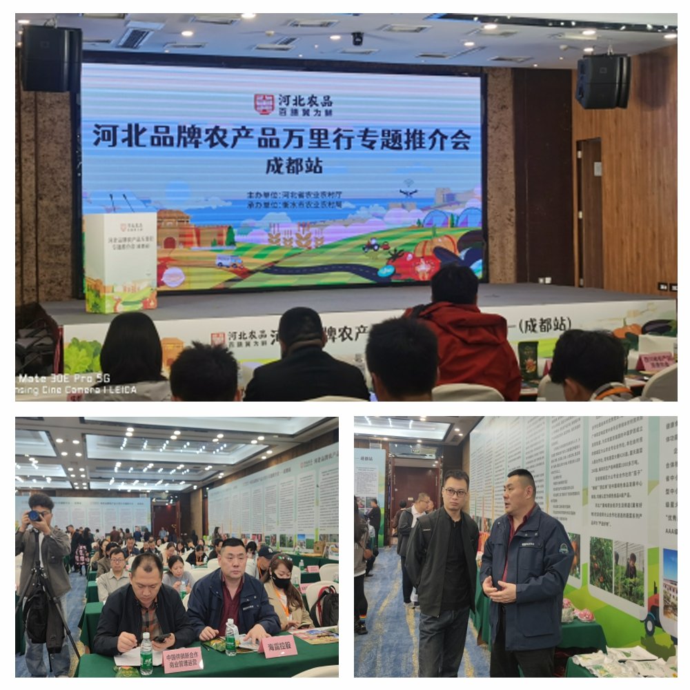 首页-PA集团有限公司官网入口