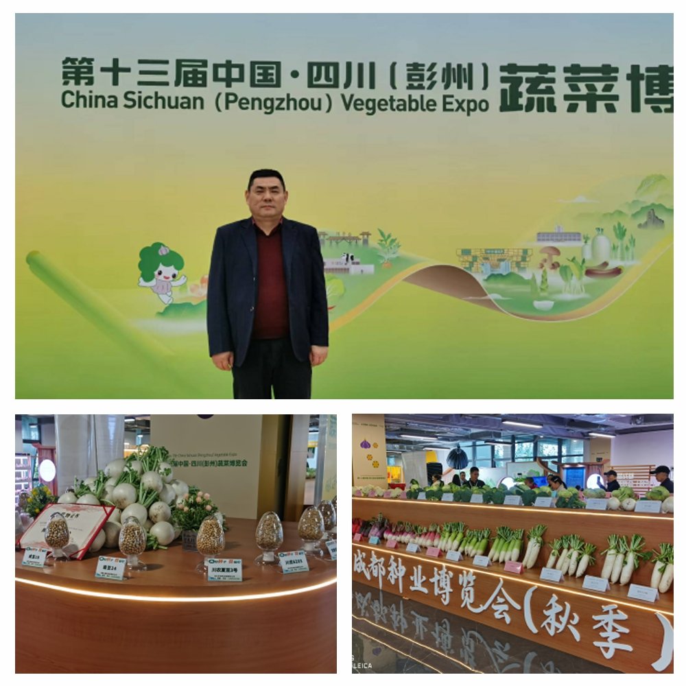 首页-PA集团有限公司官网入口