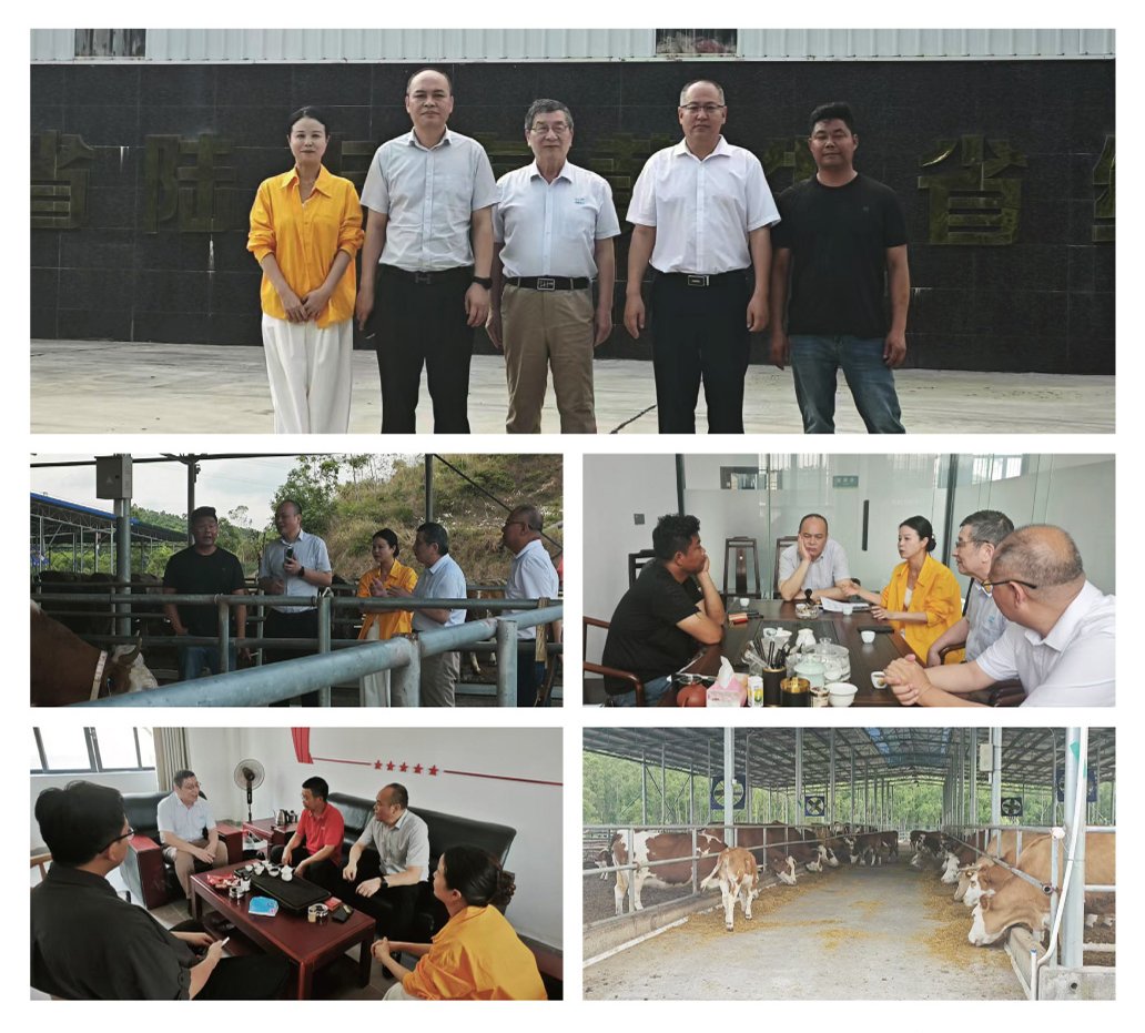 首页-PA集团有限公司官网入口