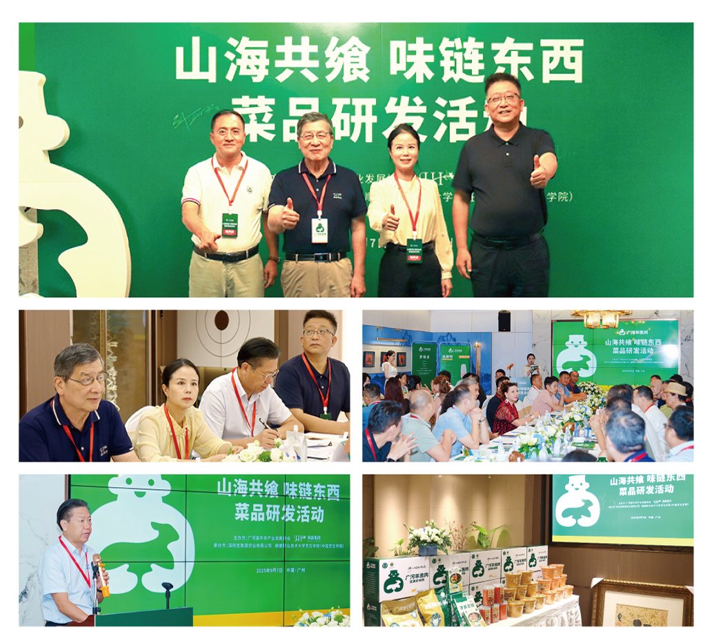 首页-PA集团有限公司官网入口