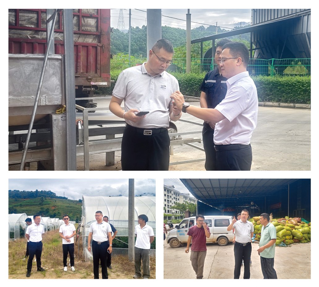 首页-PA集团有限公司官网入口